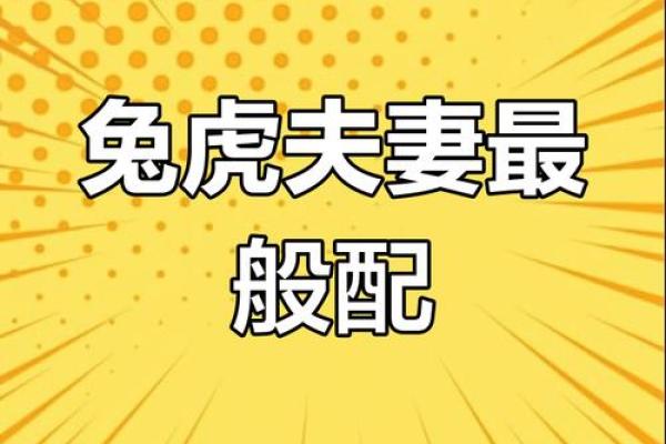 71年属猪和75年属兔相配吗 互补默契配对理想