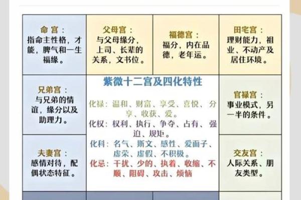 如何解读紫薇斗数