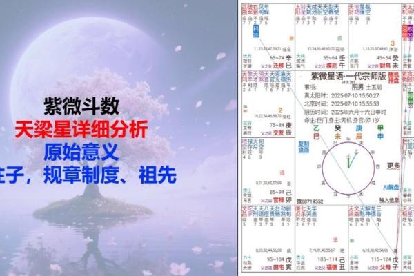 紫微斗数诸星落诸宫之:天梁星兄弟宫详解 紫微斗数诸星落诸宫之:天梁星兄弟宫详解