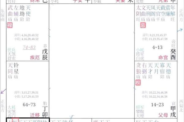 紫薇斗数性质