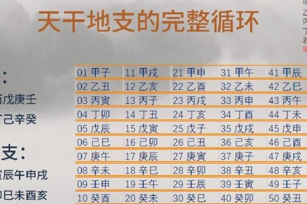 八字里的地支怎么论财官印