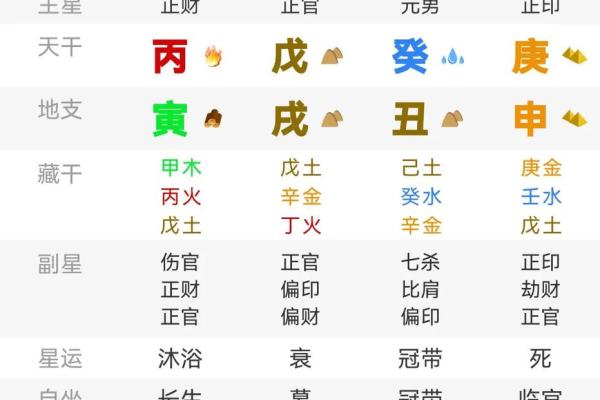 八字里的地支怎么论财官印
