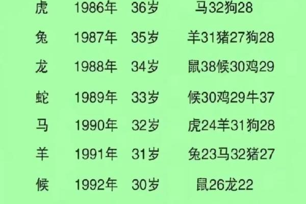 属蛇人配对姻缘