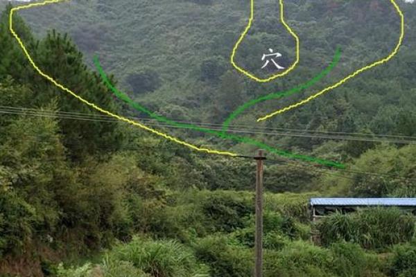 琴风水