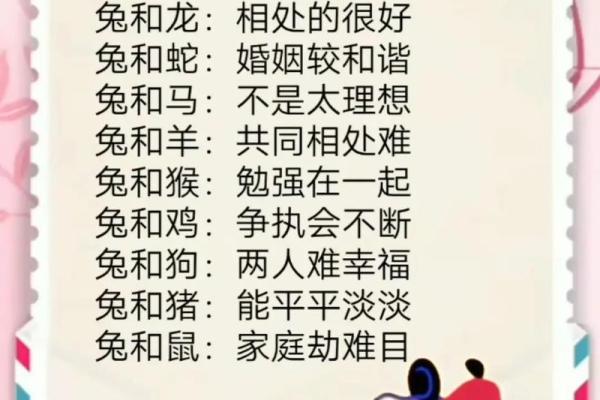 生肖属兔合婚须知，属兔配对需要注意的问题！