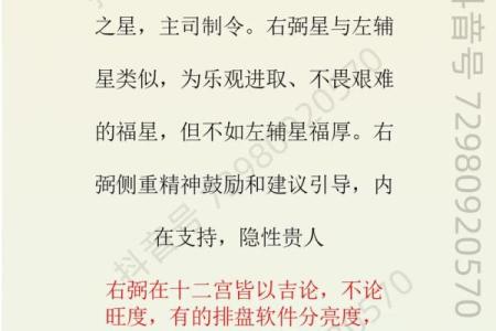 紫微斗数术语解释之：吉星