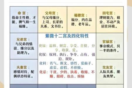 如何解读紫薇斗数