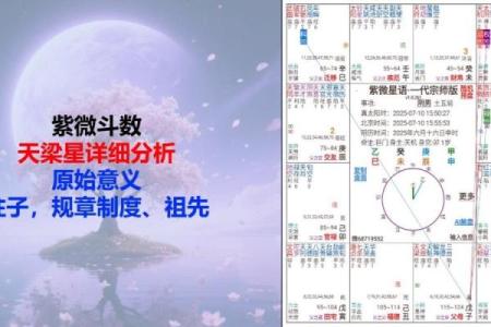 紫微斗数诸星落诸宫之：天梁星兄弟宫详解