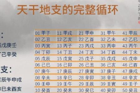 八字里的地支怎么论财官印