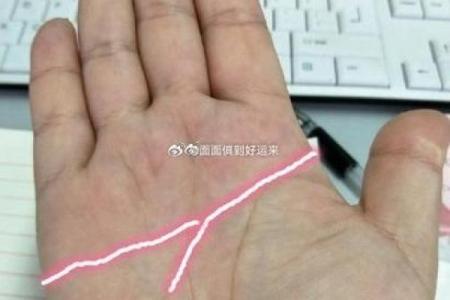 断掌男的手相算命图解 断掌的男人坚强有韧性