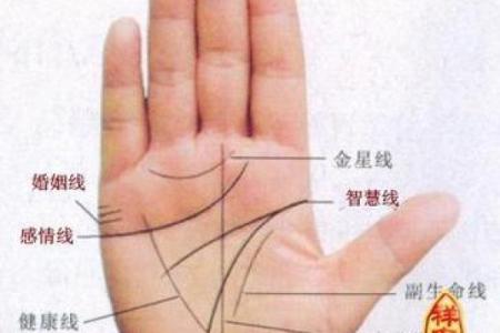 怎么看手相女八字命理详解