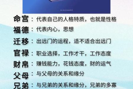 紫薇斗数主星择业