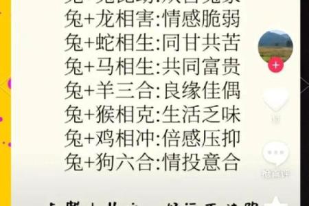 生肖属兔合婚须知，属兔配对需要注意的问题！