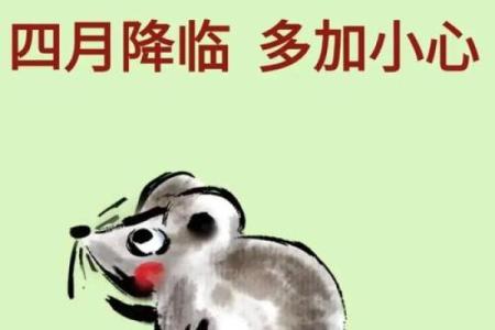 2024年对生肖鼠好不好，属鼠人在2024年的有利方位解析
