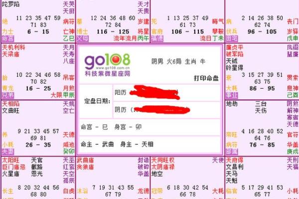 紫薇星盘八字算命