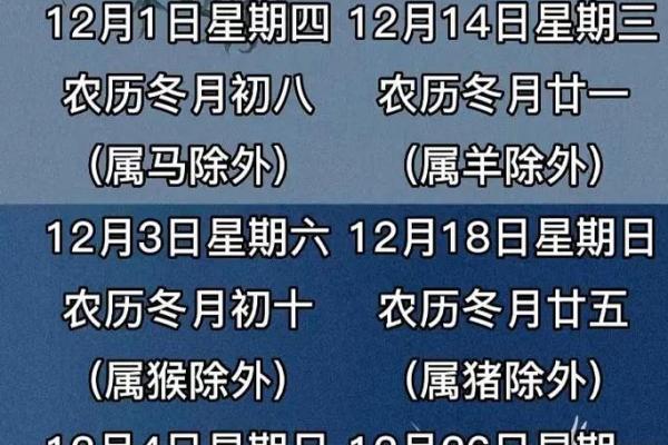 生肖鼠冬月适合领证吗 农历11月登记结婚吉日