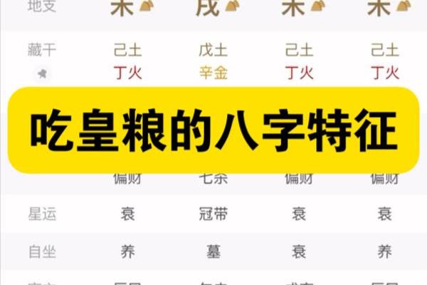 八字命元