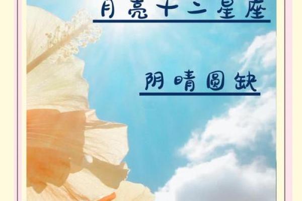 今天月亮星座天秤运势