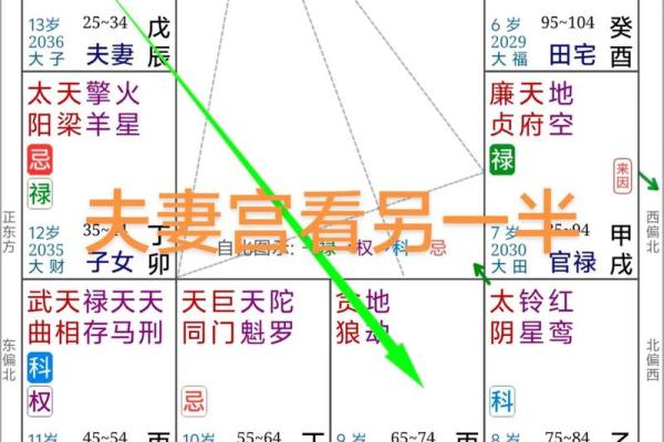 命格查询紫薇斗数