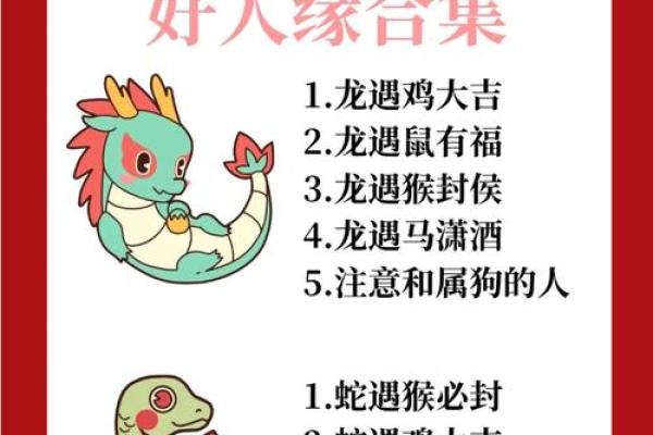 生肖兔与龙配对姻缘 生肖兔与龙相配吗？