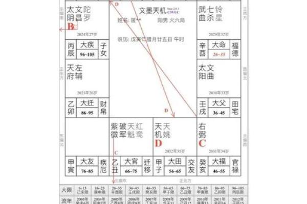 紫薇斗数怎么分析