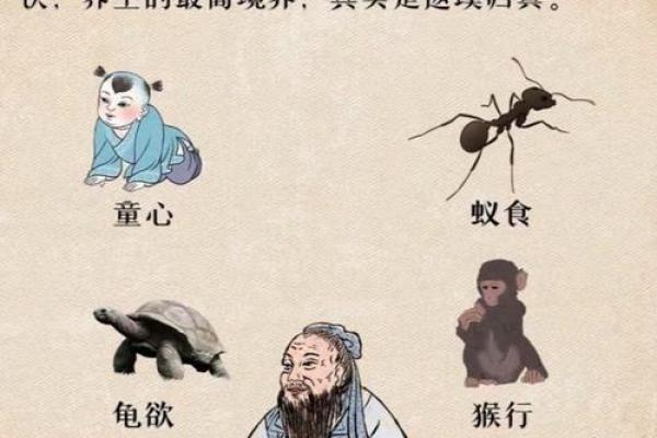 不老的八字