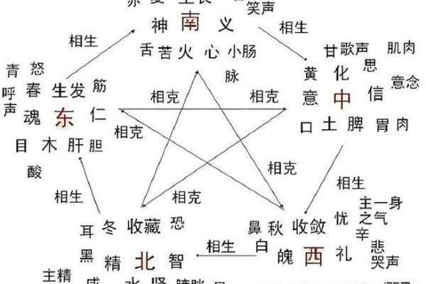 八字人体