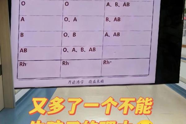 血型谁处事最专心