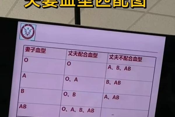 血型组合解读夫妻关系
