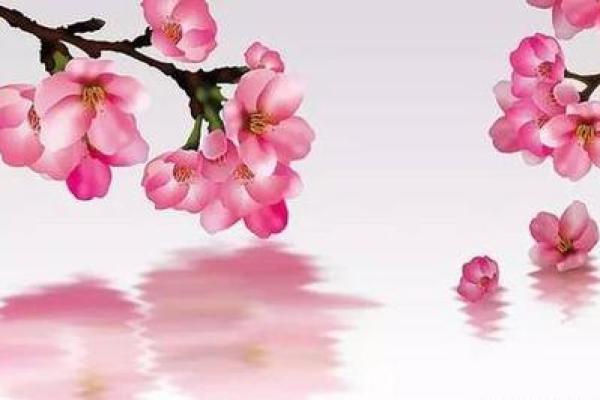 八字正桃花
