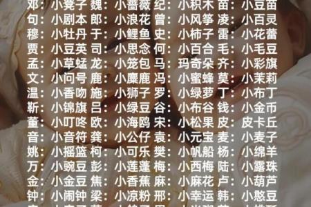 最个性宝宝乳名大全-姓名学-华易网姓名