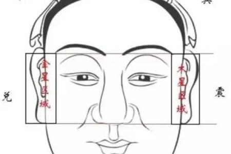 三角眉毛的面相算命图解