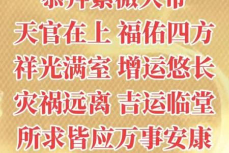 紫薇斗数天官