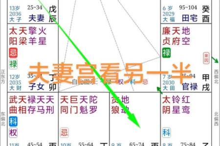 命格查询紫薇斗数