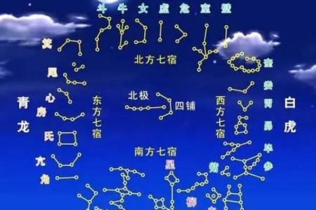 紫薇斗数怎么分析
