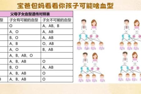 血型组合解读夫妻关系