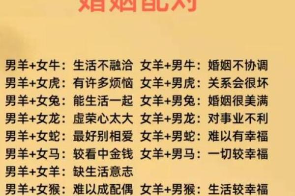猪跟什么生肖配对最好 生肖猪最佳配对