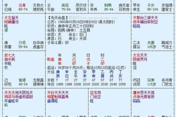 武汉紫薇斗数app