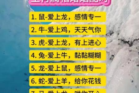 男女婚姻属相配对表 如何利用男女婚姻属相配对表选择恋爱对象