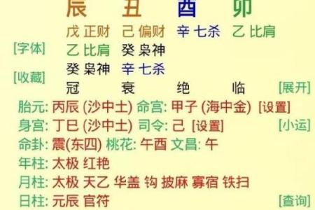 八字-论丁巳日甲辰时