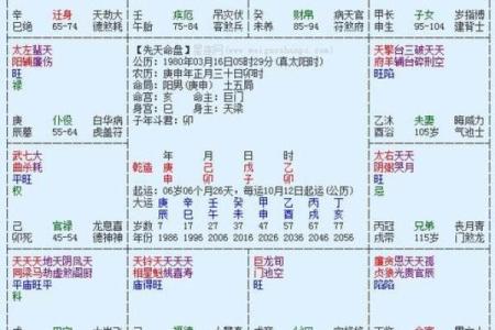 武汉紫薇斗数app
