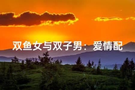 双子男和双鱼女爱情、亲情和友情的配对指数