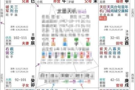 紫微斗数最尊三颗财星，唐艺尹老师独家分析