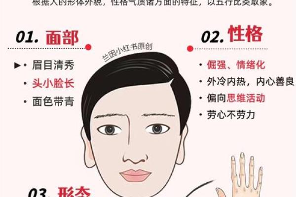 手型算命：木型人的性格与命运