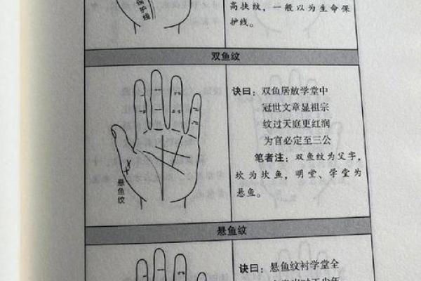 看手相算命大师免费下载