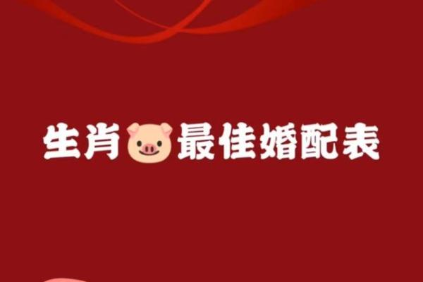 属猪的2024年结婚什么时候好 结婚吉日查询