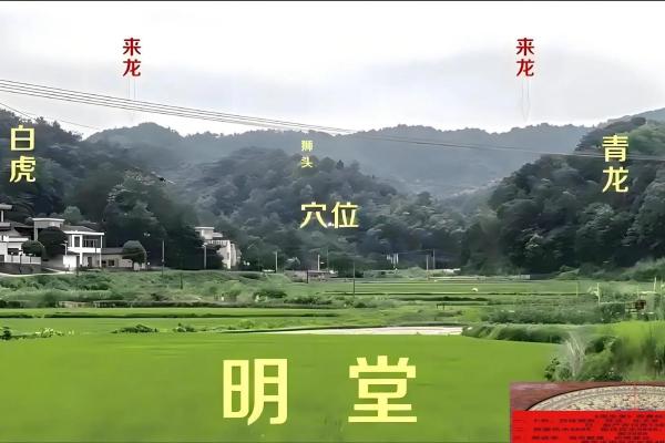 公墓风水的选择要点有哪些