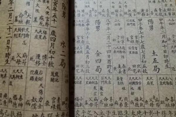 紫薇斗数博士学历