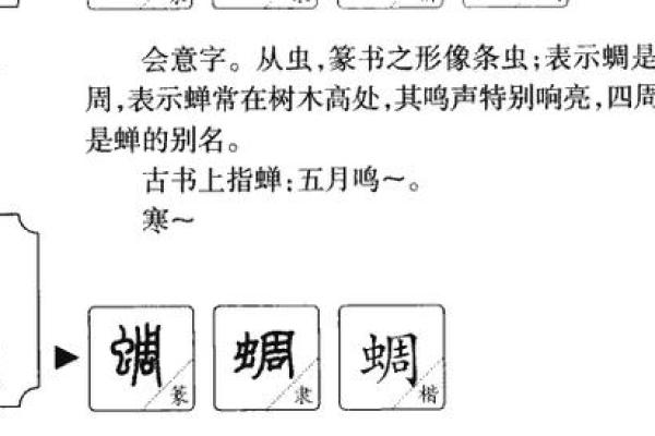 生辰八字字的拼音怎么读