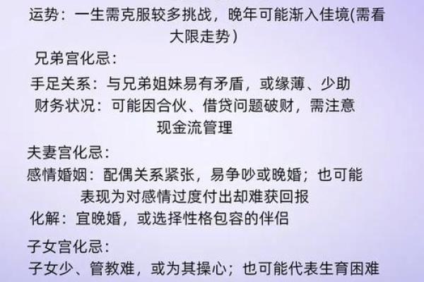 紫薇斗数事业宫化忌